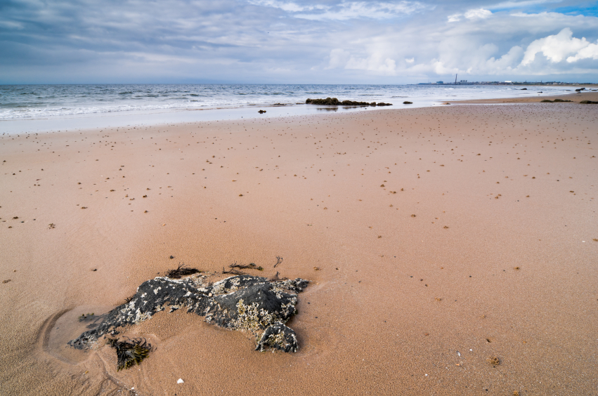 Walking and exploring Elie, East Neuk, Fife