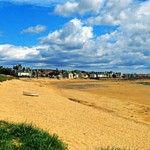 Elie Beach Summer Dog Walking