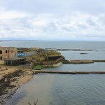 st andrews aquarium