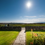 garden path on sunny day